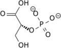 2-phospho-D-glycerate