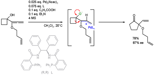 Scheme 3. AAA – Wagner–Meermein shift