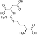 L-argino-succinate