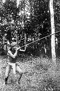 A Dayak man using a blowgun (Dutch East Indies, c.‍1920)