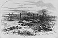 Harper's Weekly drawing of dead soldiers on Antietam battlefield, based on Gardner photograph