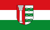 Flag of Wahlsburg