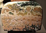 Orbicular "ocean jasper" (not, strictly, a jasper, but a highly silicified rhyolite or tuff) Analalava District Madagascar, polished slab