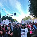 2020 Women's March in Los Angeles