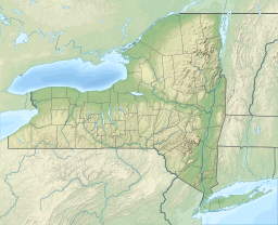 Location of Browns Pond in New York, USA.