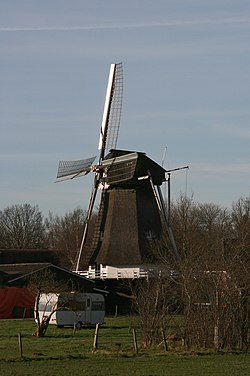 Windmill De Hoop