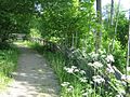 A pedestrian path in the castle's park (ca 2009)