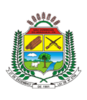 Official seal of São Domingos do Araguaia