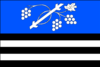 Flag of Dolní Bojanovice