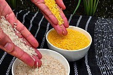 Two hands of a person hold rice. We are viewing them from their right side and in the right hand is white rice and in the left hand is golden rice.