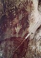 Image 19Pettakere Cave are more than 44,000 years old, Maros, South Sulawesi, Indonesia (from History of painting)