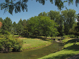 Landscaping in the park