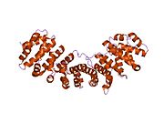 1pjn: 非洲爪蟾磷蛋白複合物內的老鼠內輸蛋白a-二部NLS N1N2