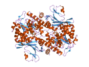 2g96: Crystal Structure of Visfatin/Pre-B Cell Colony Enhancing Factor 1/Nicotinamide Phosphoribosyltransferase In Complex with Nicotinamide Mononucleotide