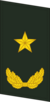 少将