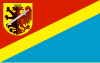 Flag of Radziejów County