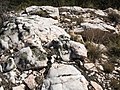 Massive quartz pegmatite