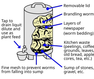 labeled diagram of a worm bin300px