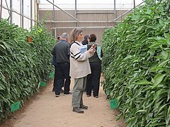 Yair Agricultural Research and Development Station, Israel