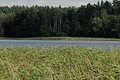 Zdróżno Lake