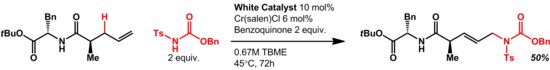 Allylic Amination Reaction Scheme