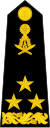 中将