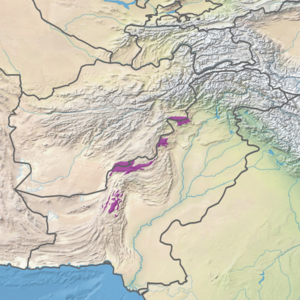 Ecoregion territory (in purple)