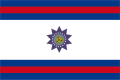 Flag of Paysandú department.