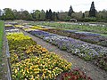 Trial fields at Wisley showing some of the hundreds of varieties assessed for the Award of Garden Merit