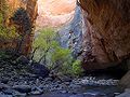 Image 4 Virgin River Narrows Photo credit: Jon Sullivan, pdphoto.org The Virgin River Narrows in Zion National Park, located near Springdale, Utah, is a 16-mile long slot canyon along the Virgin River. Recently rated as number five out of National Geographic's Top 100 American Adventures, it is one of the most rewarding hikes in the world. More selected pictures