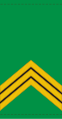 Sergent-chef (Mali Army)[12]