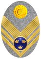 Hat badge (Mössmärke m/1914) for a lieutenant colonel in the army on fur hat (pälsmössa m/1909-14).