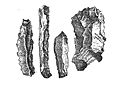 Image 6Flint knives discovered in Belgian caves (from History of Belgium)