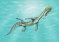 Ceresiosaurus