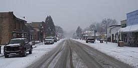 Downtown Bridgman along Lake Street