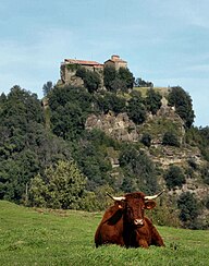 State Animal of the Principality of Andorra