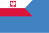 Naval auxiliary ensign