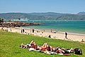 Image 18Scorching Bay, Wellington, in summer (from Geography of New Zealand)