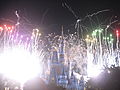 Wishes is the largest fireworks show ever presented at the Magic Kingdom.