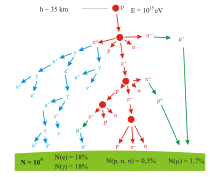 A branching tree representing the particle production