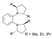 DuPhos ligands