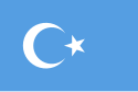 Flag of East Turkestan