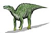 Artist's restoration of Kritosaurus.