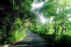 Road in San José