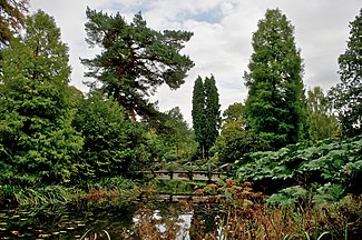 Golden Brook at Tatton Park Gardens, near Knutsford
