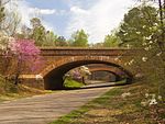 Colonial Parkway with springtime blossoms