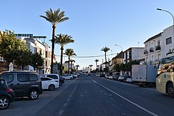 Road in El Cuervo de Sevilla