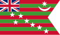 印度自治运动旗帜 (1917)