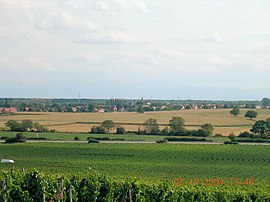A general view of Gundolsheim