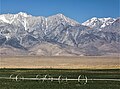 Independence Peak (east aspect, centered) from Owens Valley